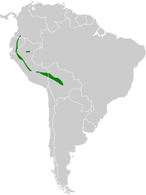 Myrmotherula longicauda map.svg