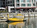 NZ-Auckland-Taxi-Boat