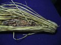 Natto wrapped in straw