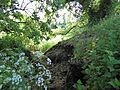 Neutral Farm Pit, Butley 2