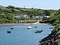 O gwmpas harbwr Abercastell (around Abercastle harbour), Sir Benfro - Pembrokeshire, Wales 26