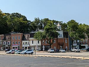 Old Willow Shopping Center on Archer, by the Palos Forest Preserves