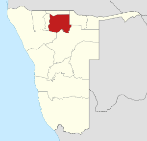 The Oshikoto Region in Namibia