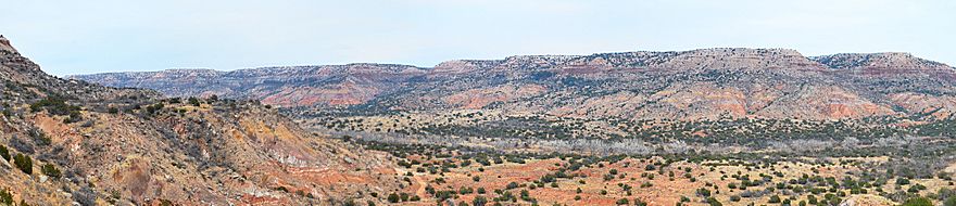 Panoramic view of the Palo Duro Canyon showing the Quartermaster, Tecovas, Trujillo and Ogallala formations