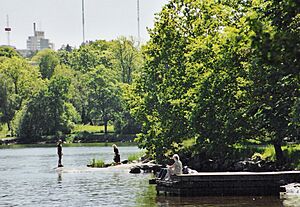 Parkudden djurgarden