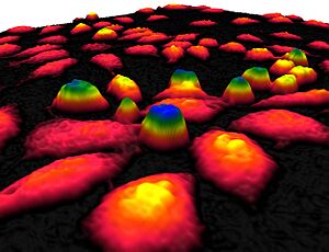 Phase shift image of cells in 3D