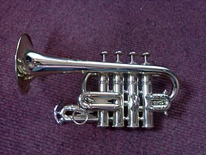 Piccolo trumpet