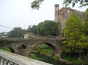 Pont Medieval-Sant Joan les Fonts(Catalunya).jpg