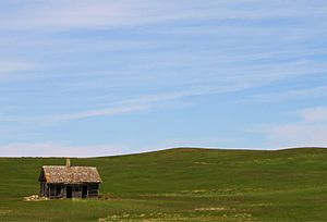 Prairie Homestead