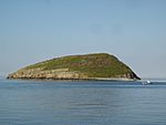 Puffin Island (Ynys Seiriol), Anglesey