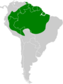 Ramphotrigon ruficauda map