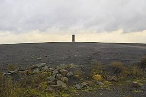 Richard Serra Bramme Essen Schurenbachhalde