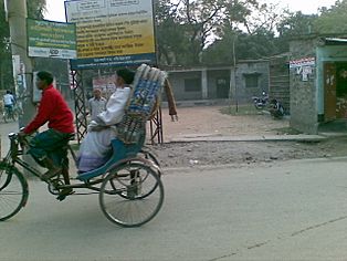 Rickshaw chapai