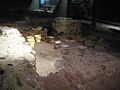 Roman Museum 128