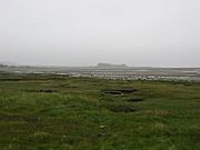 A view across the salt marsh at Aberlady Bay