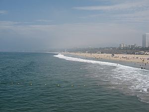 Santa Monica Beach (195729371)