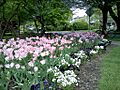 Sellwood Park (Portland, Oregon)