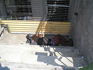 Street Sleeper 4 by David Shankbone