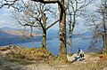 Surprise View, above Derwent Water - geograph.org.uk - 1872453