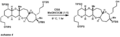TBS primary deprotection4