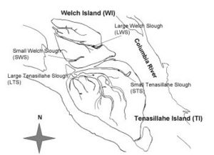 Tenasillahe Welch Islands