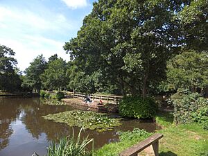 The Basins beside the River Tone at Wellington (geograph 3651067)