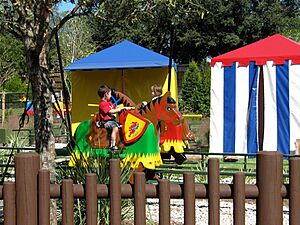 The Royal Joust Legoland Florida