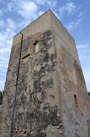 Torre de Mira-rosa o dels Poblets