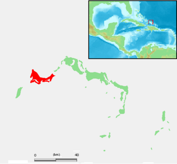 Turks and Caicos Islands - Providenciales.PNG