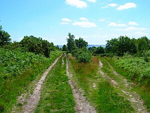 Two Tracks, Pound Common - geograph.org.uk - 864807