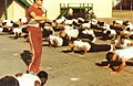 U.S. Navy Photo. Boot Camp, Naval Training Center San Diego, California, 1980. 05