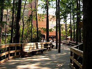 UCF Student Union Boardwalk