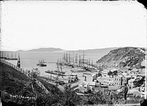 View of old Port Chalmers looking from the hill above the harbour, looking down towards the wharves, 1870s (3057385938)