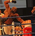 WKA World Championschips 2011 228 (cropped)