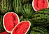 Watermelons.jpg
