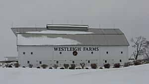 Westleigh Farms barn