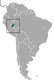 White-mantled Tamarin area