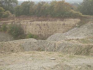 Woodeaton Quarry - geograph.org.uk - 630827
