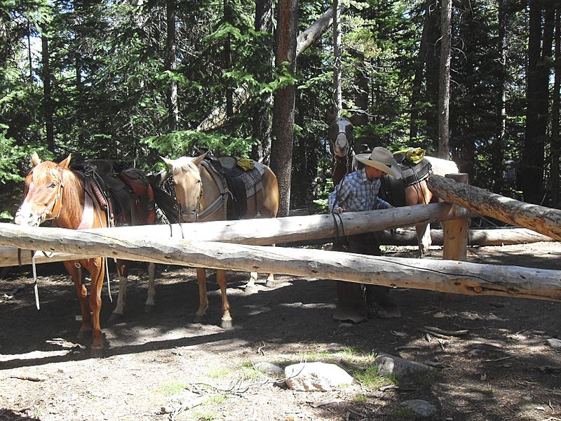 1-bierstadtlake-horses