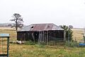 1827 - The Ben Hall Sites - Wandi - Slab hut to rear of the house. (5055031b5)