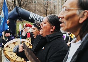 2017 Indigenous Peoples March
