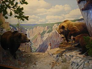 American Museum of Natural History in Manhattan, New York City, United States of America (9860911314)