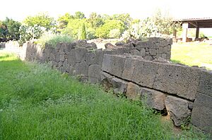 Ancient city wall