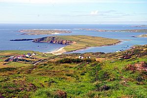 Ardmore - An Aird Mhór - geograph.org.uk - 971945