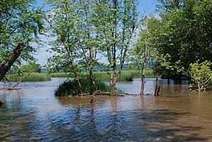 Avoca River-Bottom Prairie