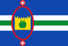 Flag of Villalengua