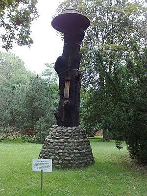Barć kłodowa