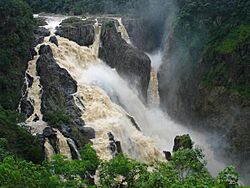 Barron falls january2005.JPG