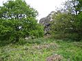 Beacon Hill - geograph.org.uk - 172528