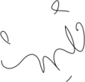 Benyamin Bahadori signature